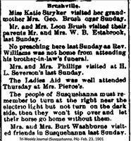 Brushville(PA)News(Feb.23, 1901)